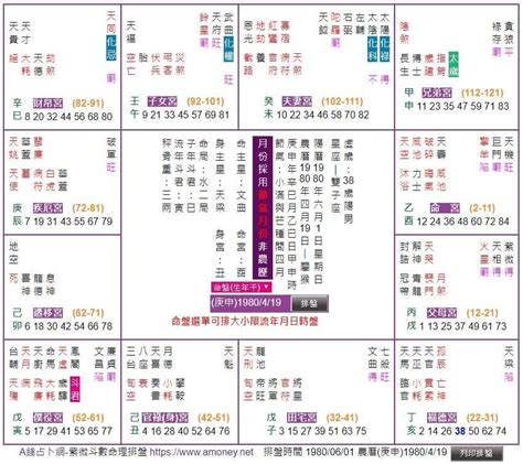 星橋紫微斗數|紫微斗數排盤程式